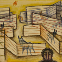 776 1304 IMG_5234.tif