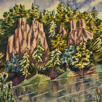 542 498 IMG_5459.tif