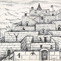 1372 1337 IMG_923.tif