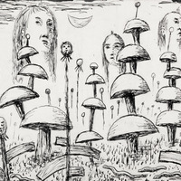 1394 1393 IMG_1385.tif