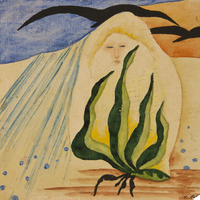 239 659 IMG_5013.tif