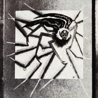 347 1153 IMG_1700.tif