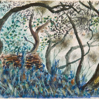 11 a 1279 IMG_5116.tif