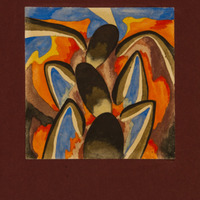 211 456 IMG_5164.tif