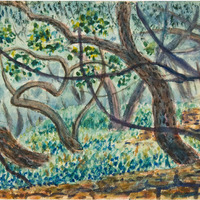 14 a 1282 IMG_5109.tif