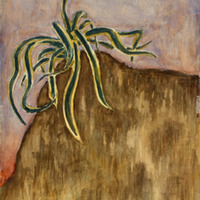 28 b 480 IMG_1636.tif