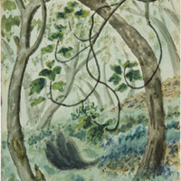 13 a 1281 IMG_5111.tif